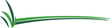 Wiregrass Auction Group