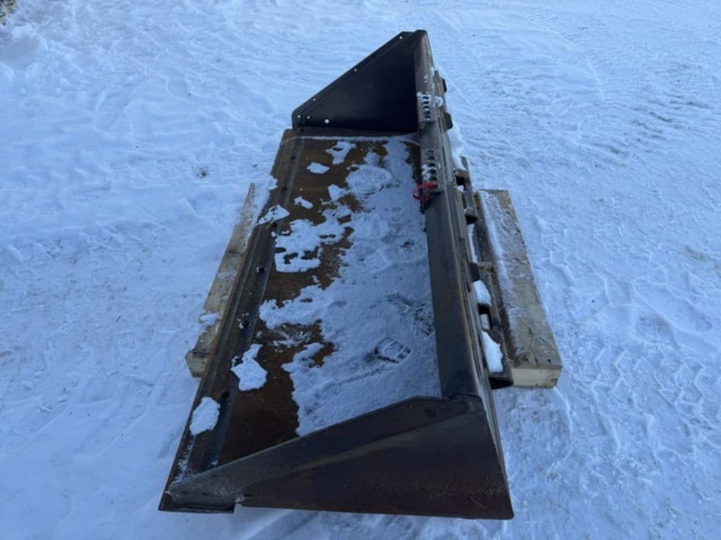 Image of Bobcat Undetermined Image 0