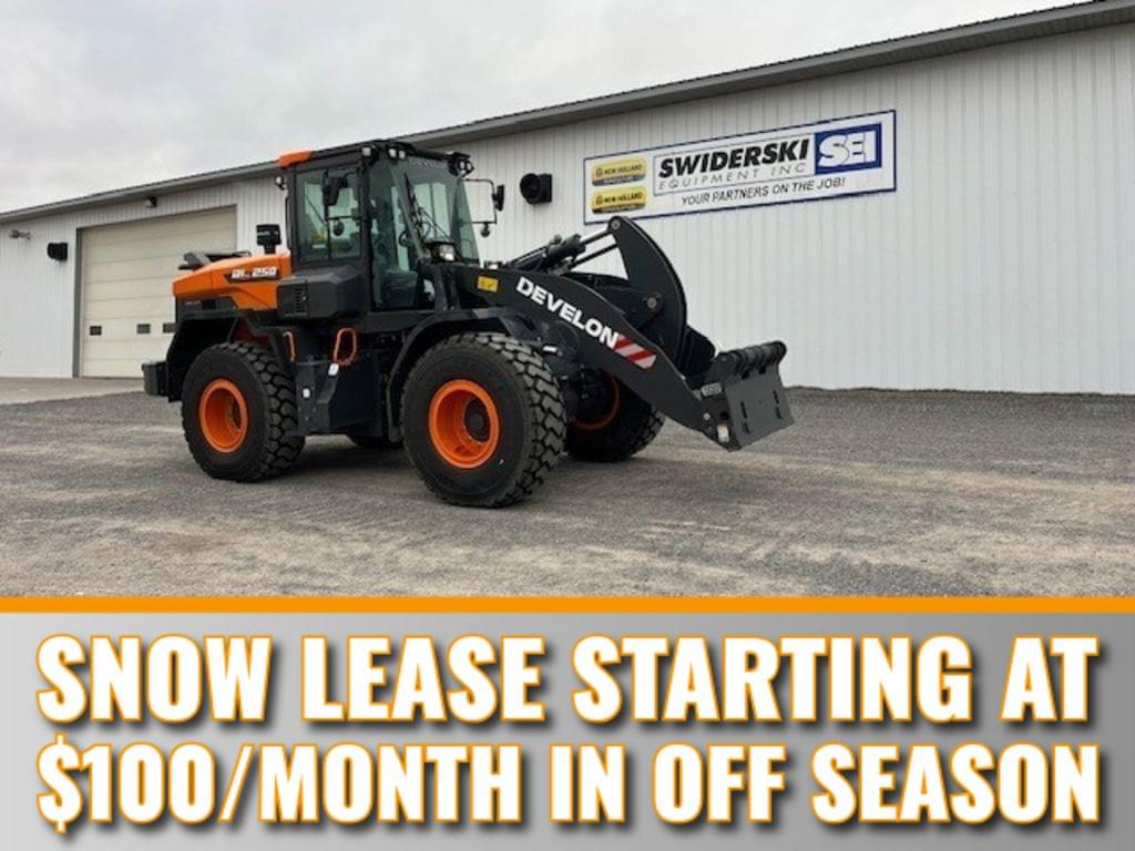 Image of Develon DL250-7 Primary image