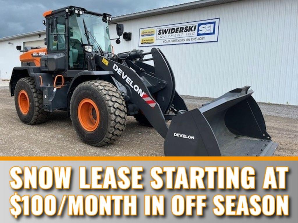 Image of Develon DL250-7 Primary image