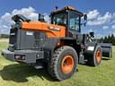 2025 Develon DL250-7 Image