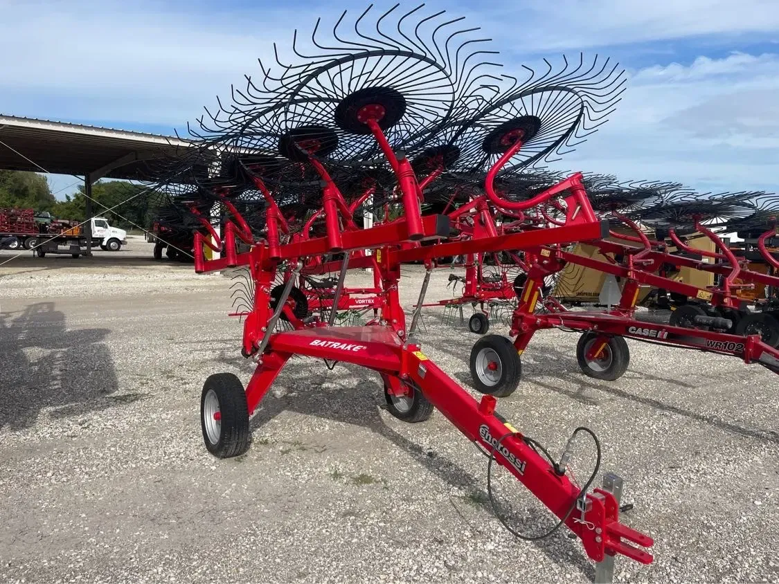 Main image Enorossi Batrake 10