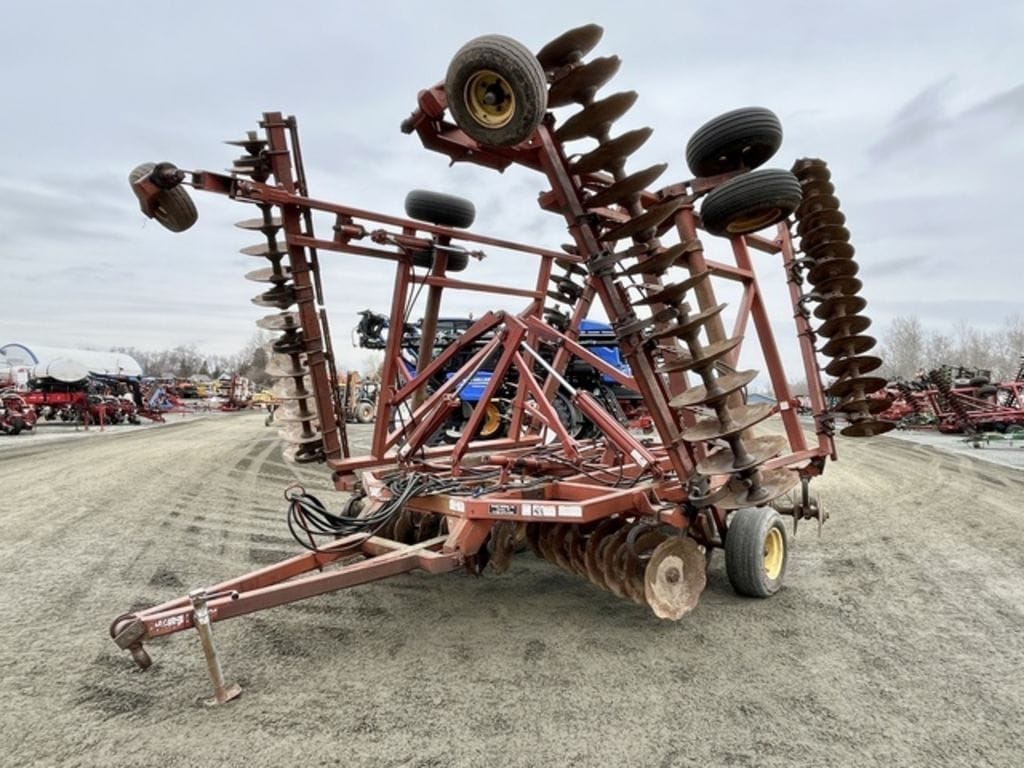 Main image Sunflower 1232