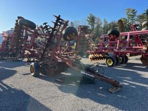 Sunflower 1233 Image