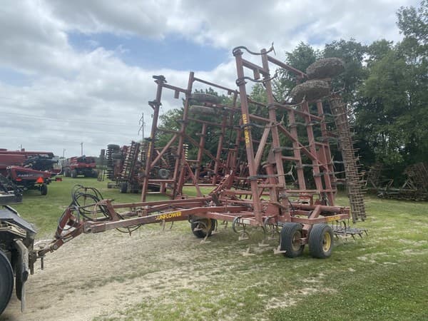 Image of Sunflower 5033 Primary image