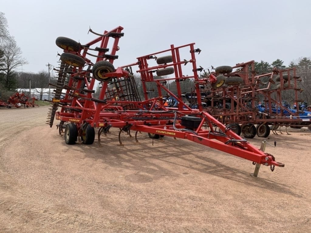 Main image Sunflower 5035