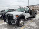 2015 Ford F-550 Image