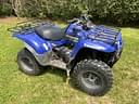 Kawasaki Prairie 360 Image