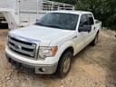 2013 Ford F-150 Image