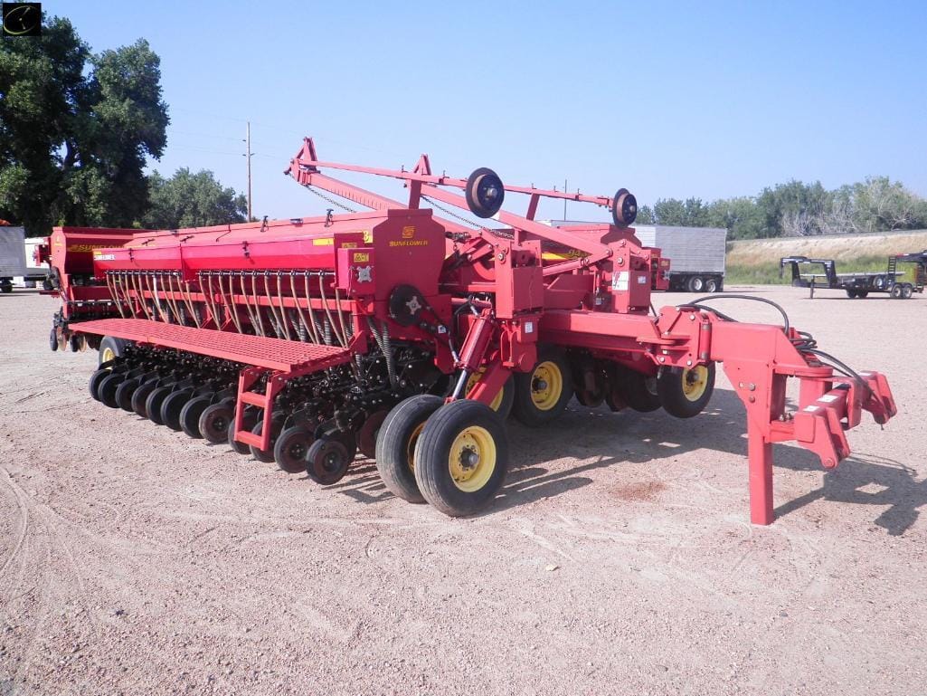 Main image Sunflower 9433