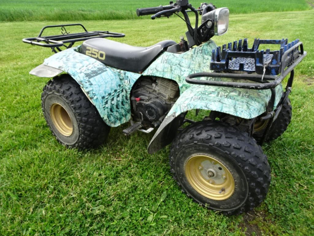 Main image Suzuki 250