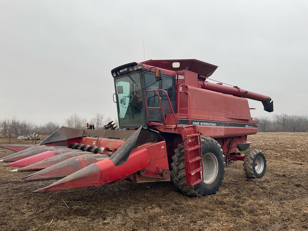 Image of Case IH 1688 Primary image