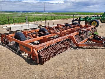 Main image Ace Groundhog