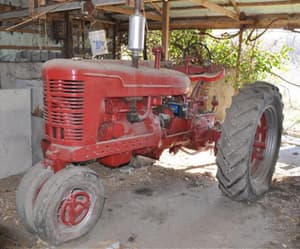 1950 Farmall M Image