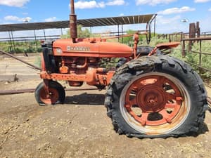 1951 Farmall M Image
