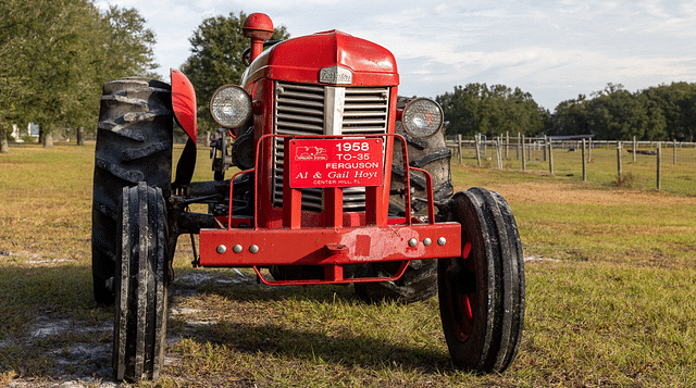 Image of Massey Ferguson 35 equipment image 1