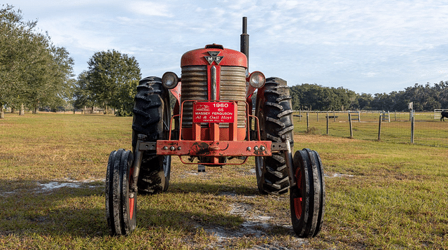 Image of Massey Ferguson 65 equipment image 1