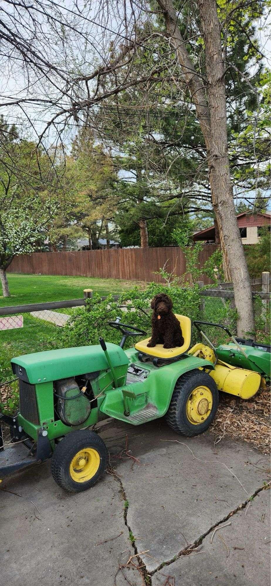 Image of John Deere 110 Primary image