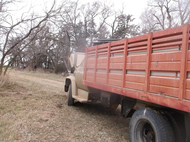 Image of Chevrolet C60 equipment image 4