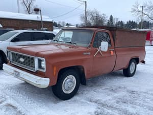 1974 Chevrolet Custom Deluxe 20 Image