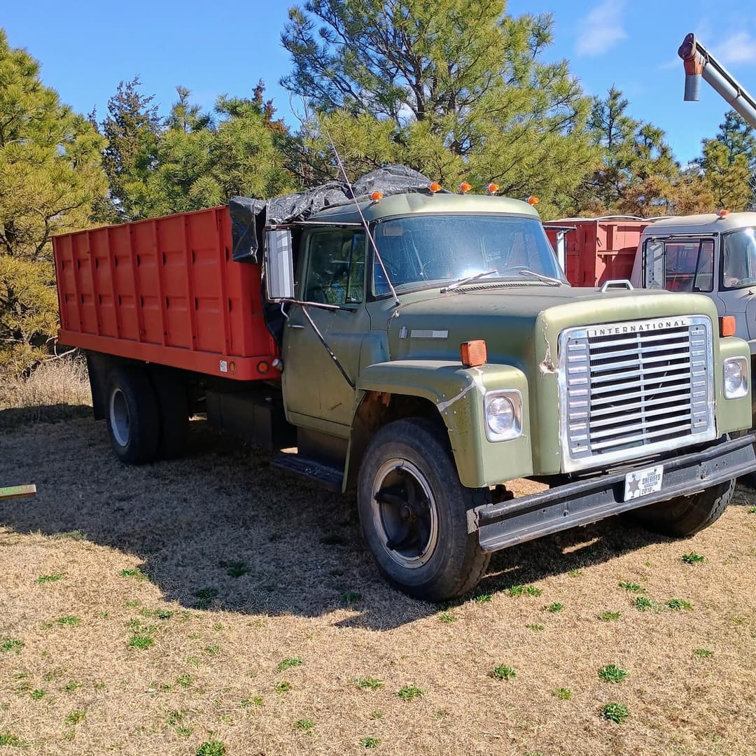 Image of International Loadstar Primary image