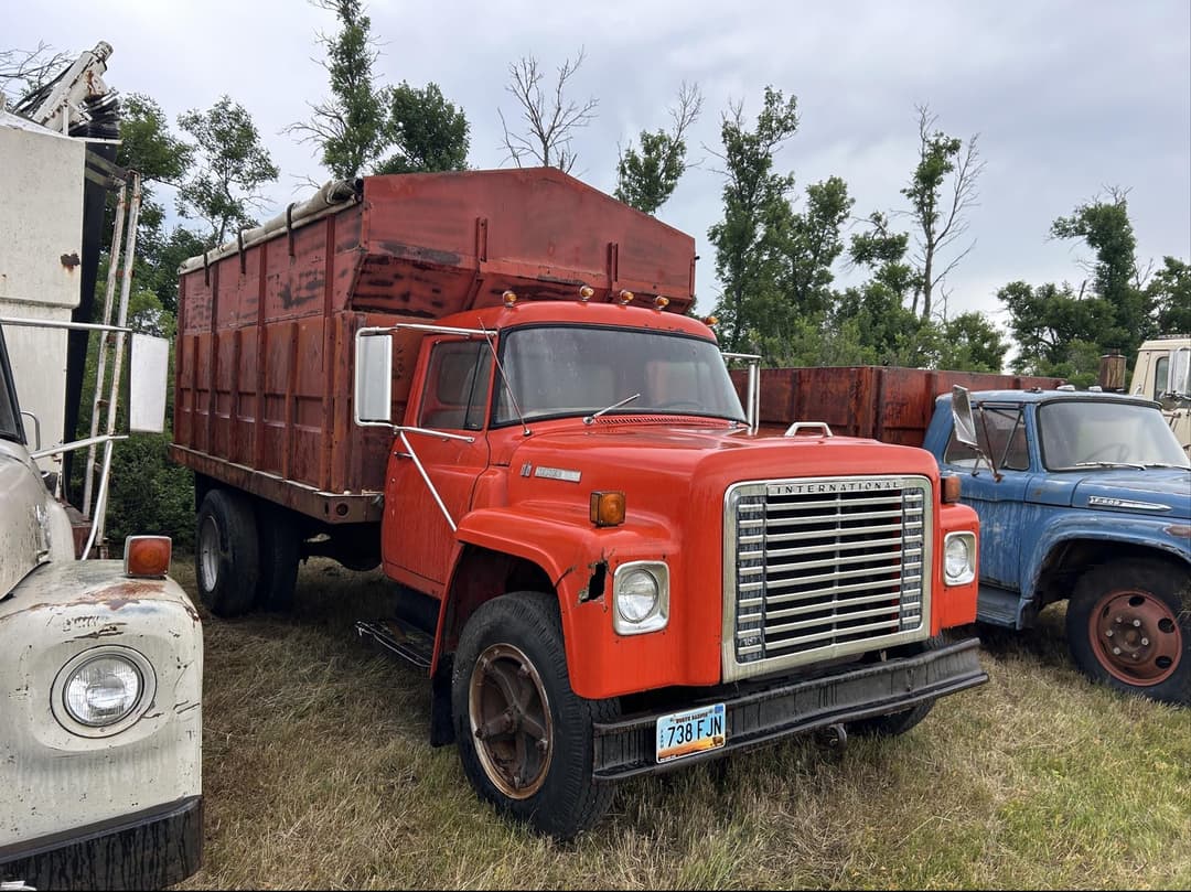 Image of International Loadstar Primary image