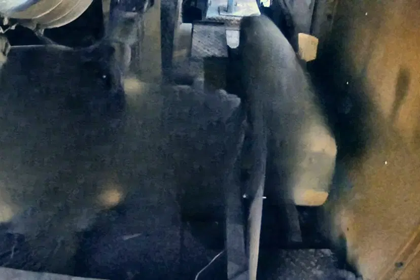 test