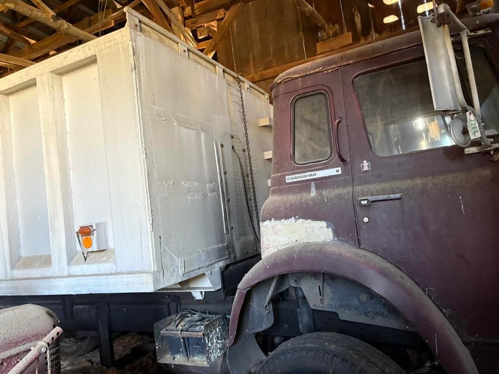 Image of International Cargo Star Primary image