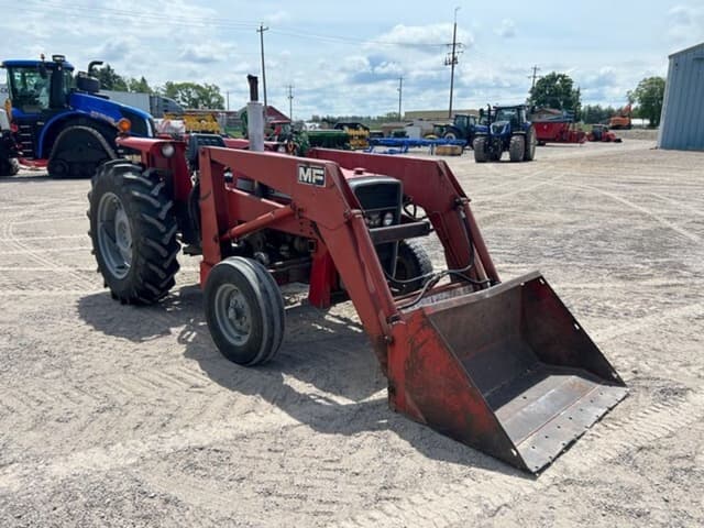 Image of Massey Ferguson 245 equipment image 2