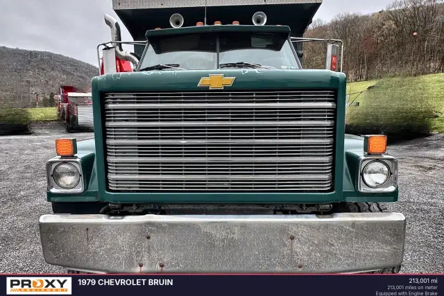 Image of Chevrolet Bruin equipment image 1