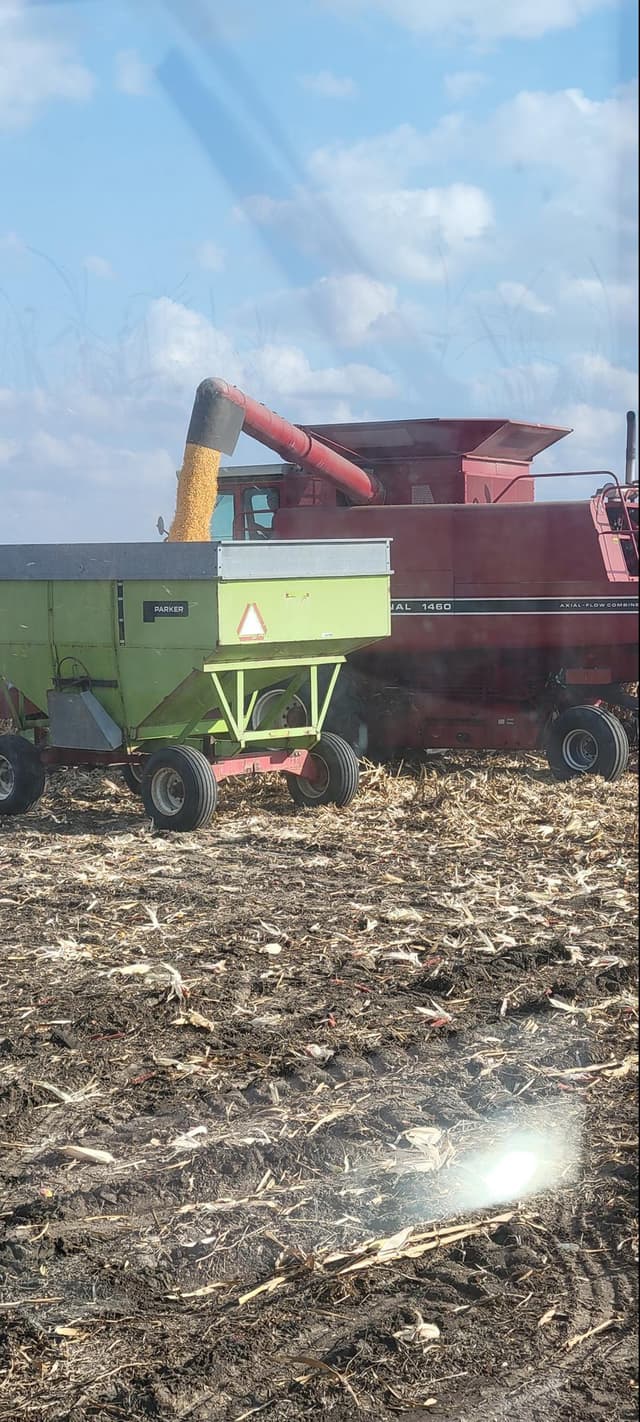 Image of International Harvester 1460 equipment image 3