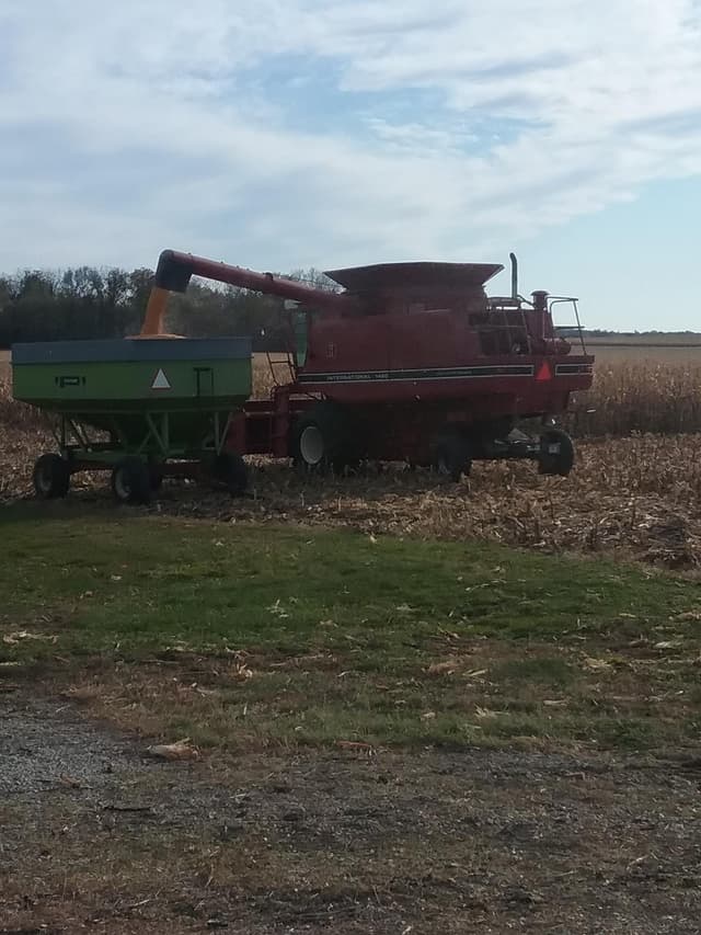 Image of International Harvester 1460 equipment image 2