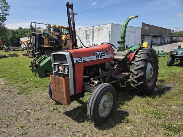 Image of Massey Ferguson 245 equipment image 2