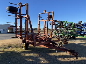 Main image Sunflower 2331