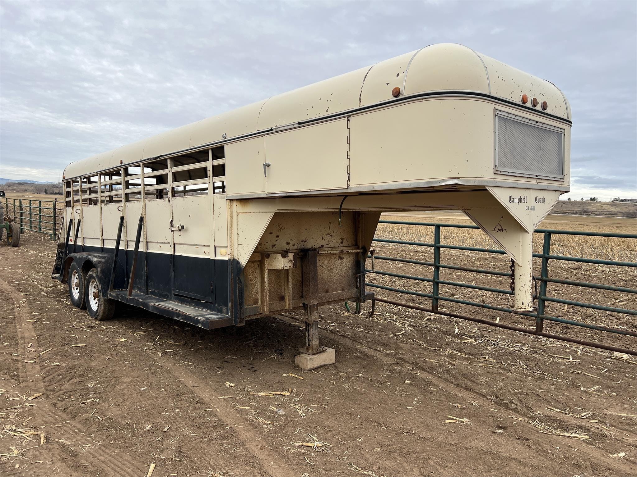 Main image Campbell Flying Goose