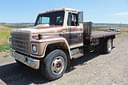 1981 International 1754 Image