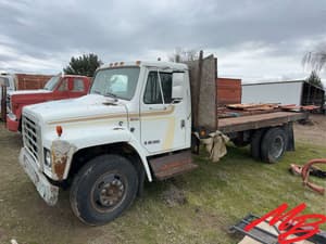 1981 International 1724 Image