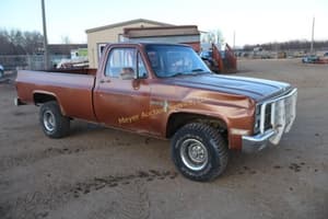 1982 Chevrolet Custom Deluxe 10 Image