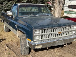 1982 Chevrolet Silverado 10 Image