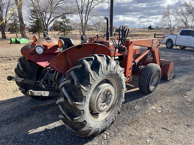 Image of Massey Ferguson 250 equipment image 4