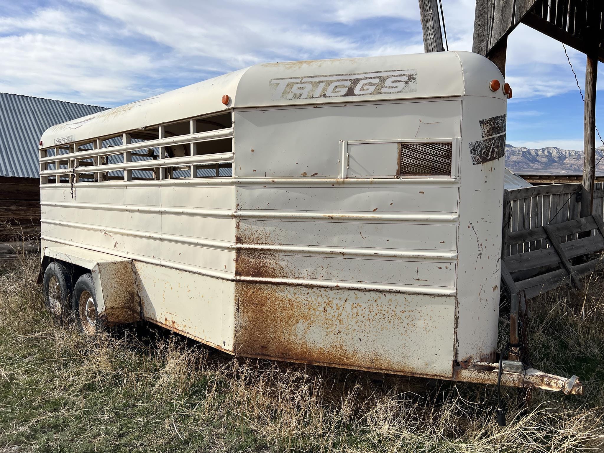 1984 Triggs Deluxe Airline Equipment Image0