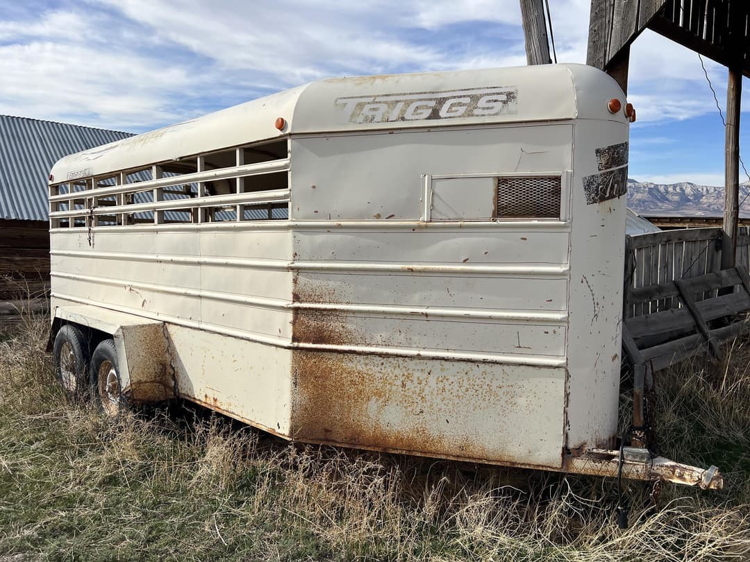 Image of Triggs Deluxe Airline Primary image