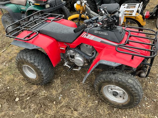 Image of Honda Fourtrax 250 equipment image 3