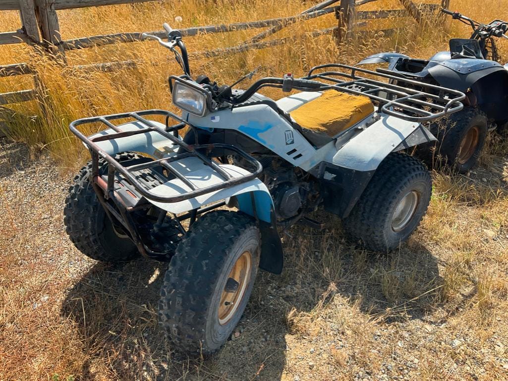 Main image Yamaha Moto 4