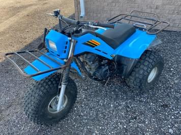 Main image Yamaha 225DX