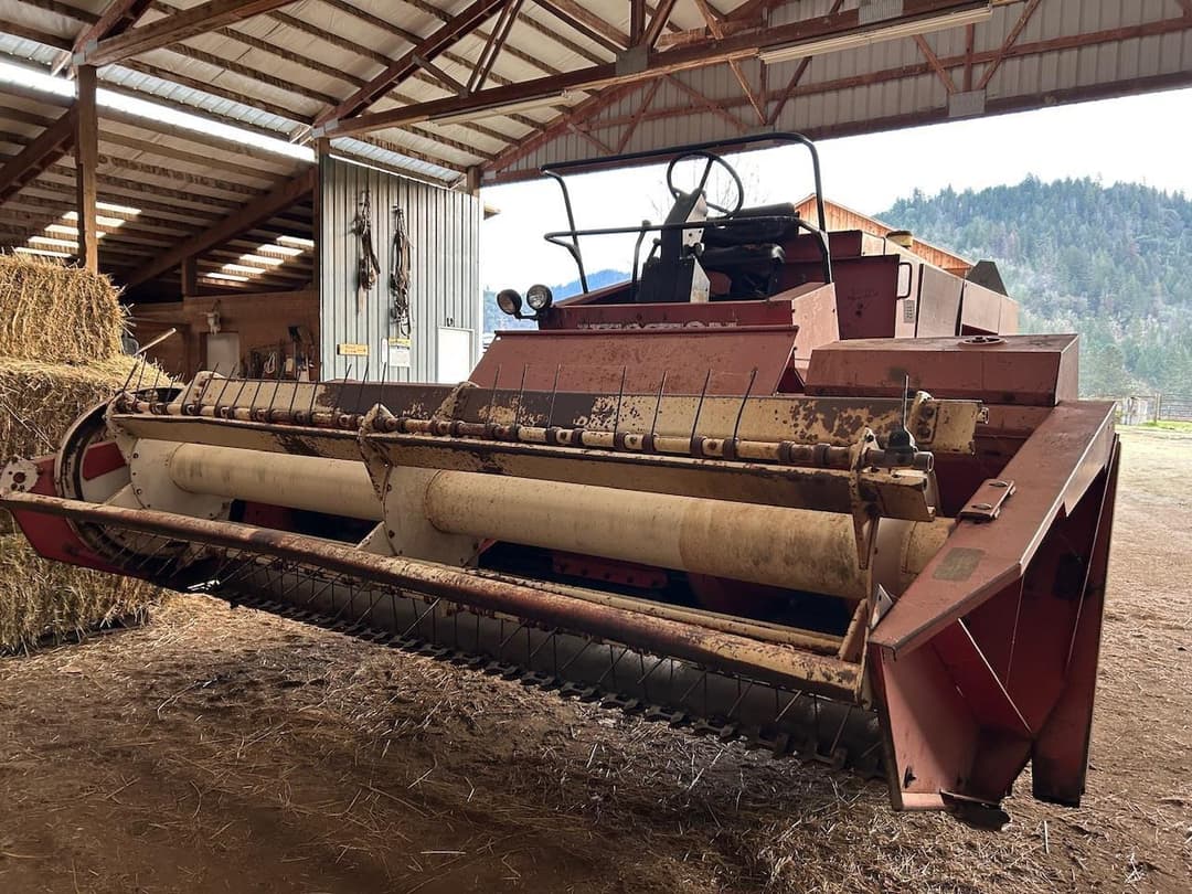 Image of Hesston 6550 Primary image