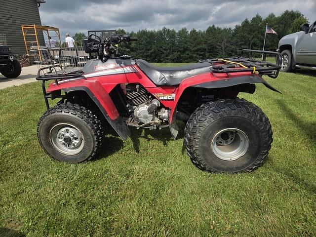 Image of Honda Fourtrax 250 equipment image 1