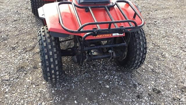 Image of Honda TRX250 equipment image 4