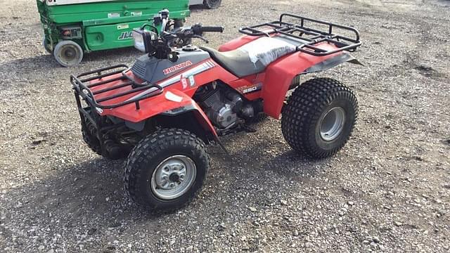 Image of Honda TRX250 equipment image 1