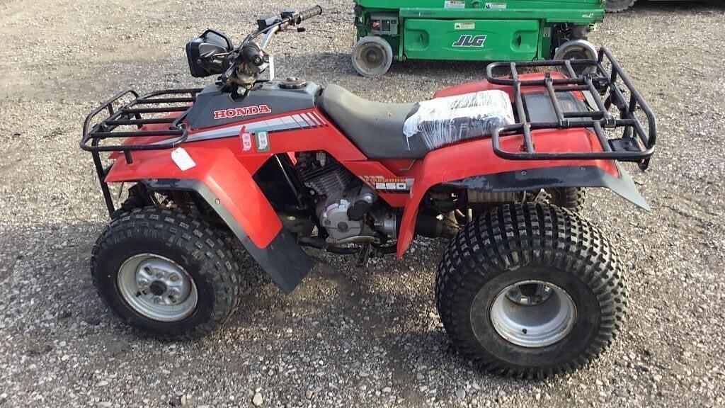 Image of Honda TRX250 Primary image
